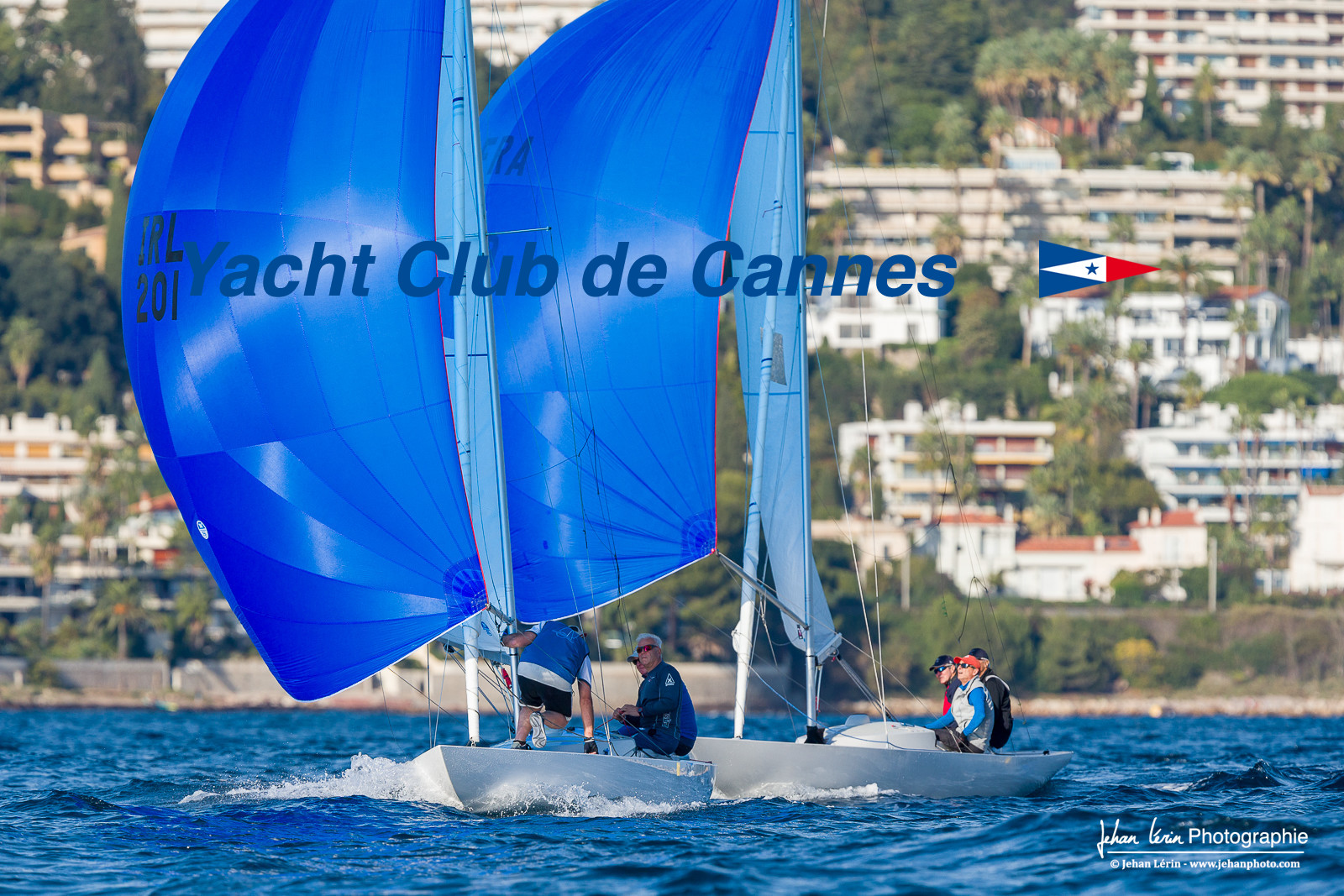 Armistice Cup Dragon 2022