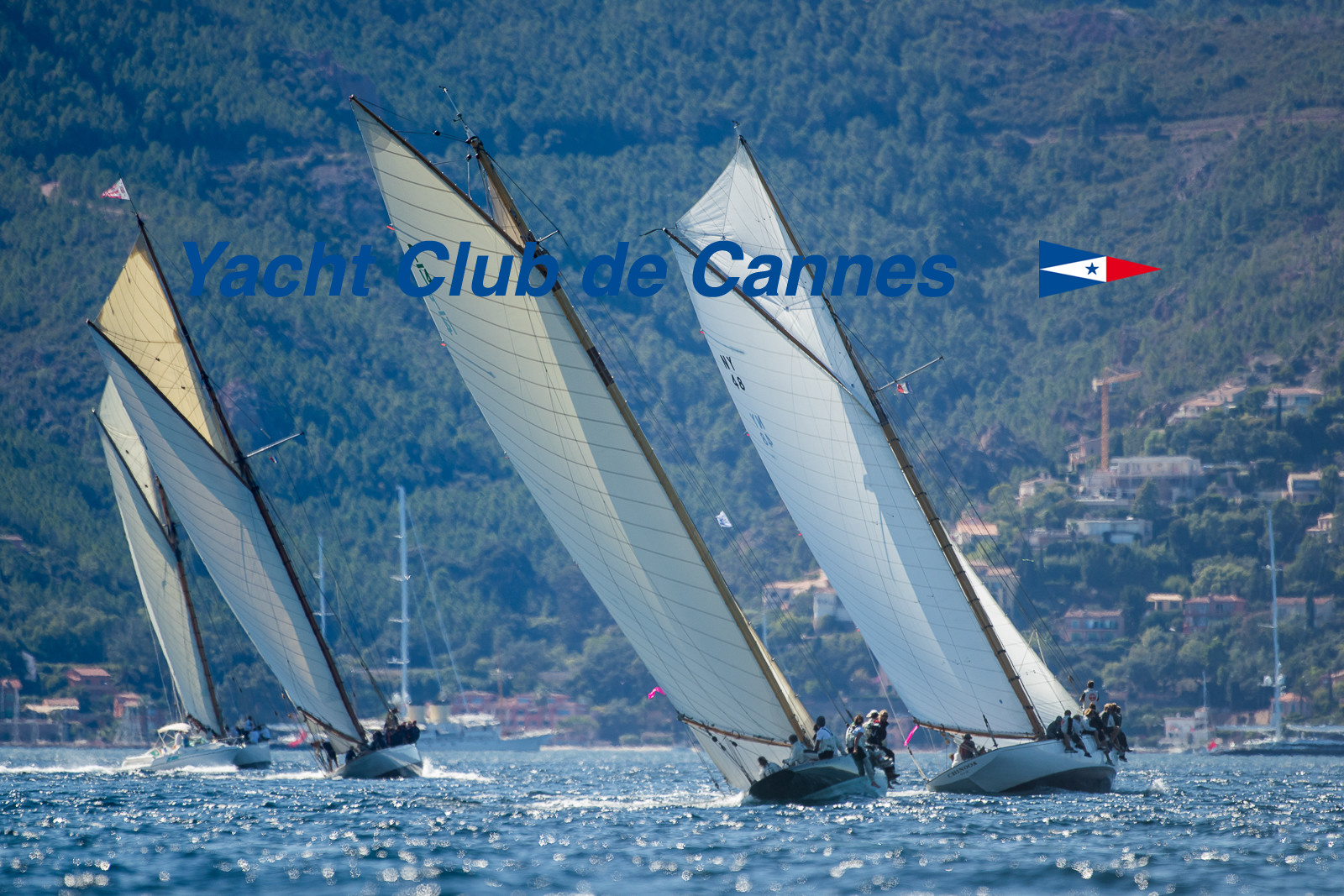 Régates Royales 2020 Régates Royales 2020