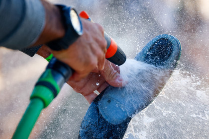 Régates Royales 2021